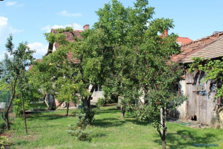 Dom do remontu w Przemkowie koło Szprotawy